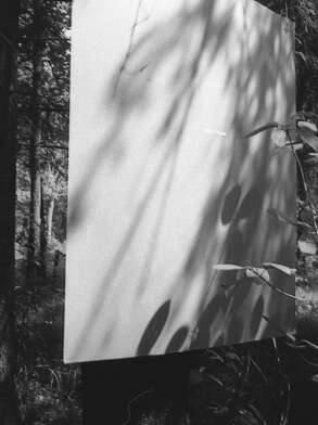 Collective action To V. Nekrasov. Photo - 29