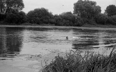 Collective action Second Picture. Photo - 32