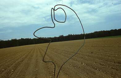 Акция КД Выстрел. Фотография - 26