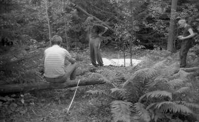 Collective action Library. Photo - 119