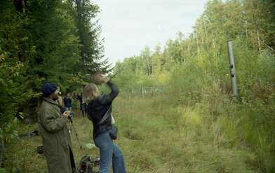 Collective action The Sack. Photo - 36