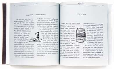 Life in the Snow. Photo - 0