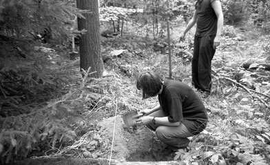 Collective action Library. Photo - 115