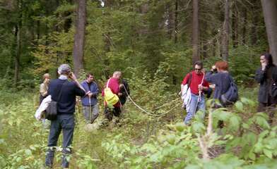 Collective action The Sack. Photo - 20