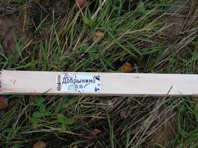 Акция КД Деревни. Фотография - 48