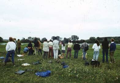 Collective action Second Picture. Photo - 1