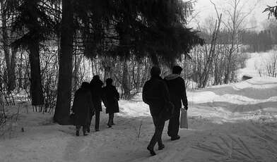 Collective action Observing the Waterfall. Photo - 2