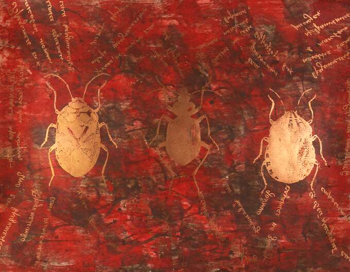 Елена Елагина. Насекомые