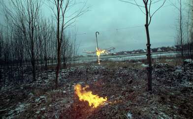 Collective action On the Clearing. Photo - 20