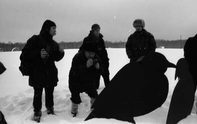 Collective action Negatives. Photo - 41