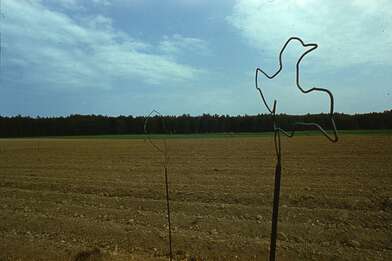 Акция КД Выстрел. Фотография - 25