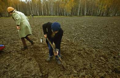 Collective action Place of Action. Photo - 24