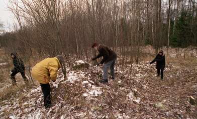Collective action On the Clearing. Photo - 16