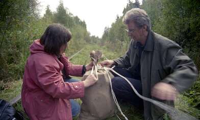 Collective action The Sack. Photo - 18