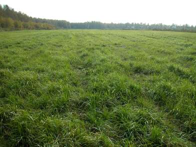 Акция КД Стенд-газета. Фотография - 25