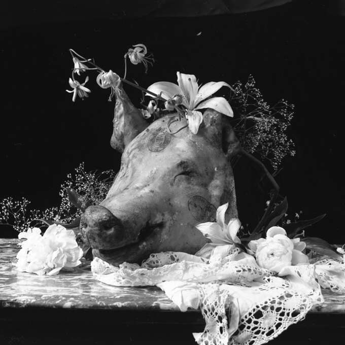 Igor Makarevich. Серия Zooanthroponoses, 2009