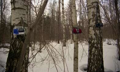 Collective action 83. Photo - 22