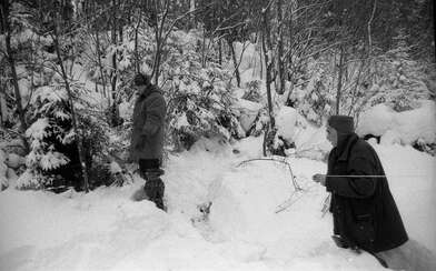 Collective action 625-520. Photo - 77