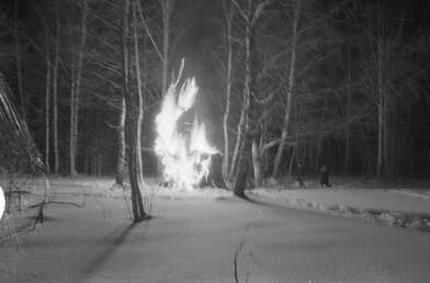 Collective action To Panitkov. Photo - 98