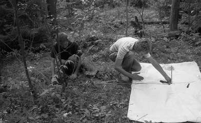 Collective action Library. Photo - 121