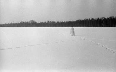 Collective action Description of Action. Photo - 14