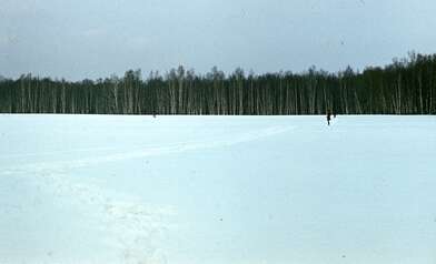 Collective action Description of Action. Photo - 30