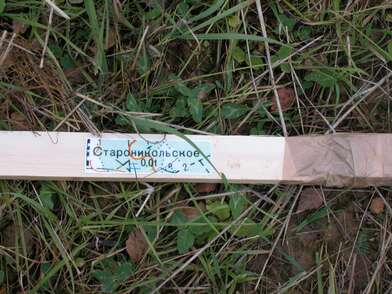 Акция КД Деревни. Фотография - 49