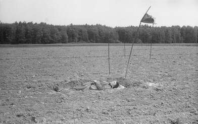 Акция КД Выстрел. Фотография - 58