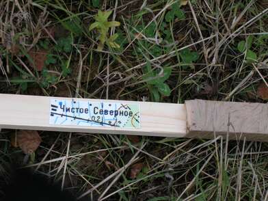 Акция КД Деревни. Фотография - 52