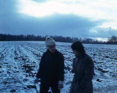 Акция КД Ворот. Фотография - 9