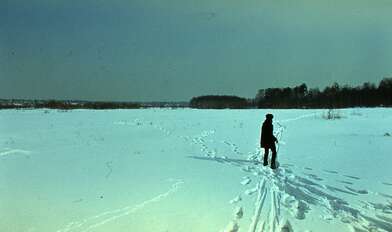 Collective action Observing the Waterfall. Photo - 68