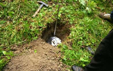 Collective action Library. Photo - 40