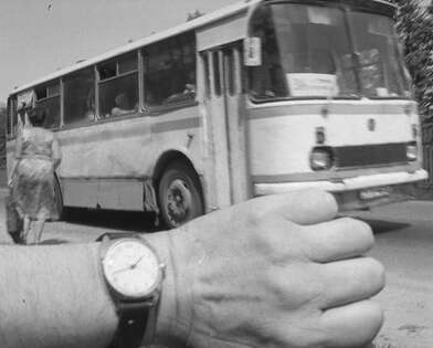 Collective action To V. Nekrasov. Photo - 7