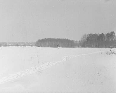 Collective action Observing the Waterfall. Photo - 27