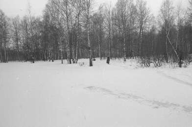 Collective action Russian World. Photo - 54